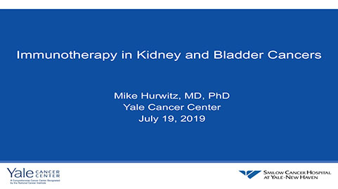 Immunotherapy in Kidney & Bladder Cancers