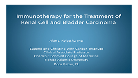 Kidney and Bladder Cancers as Targets for Immunotherapy