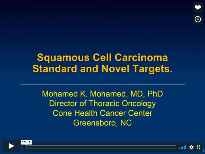 Squamous Cell Carcinoma Standard and Novel Targets
