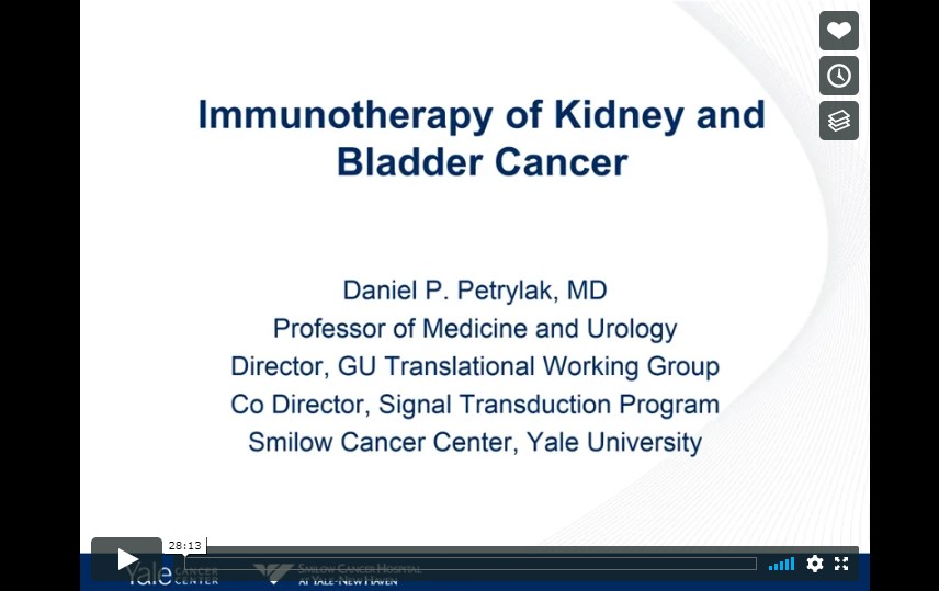 Immunotherapy of Kidney and Bladder Cancer