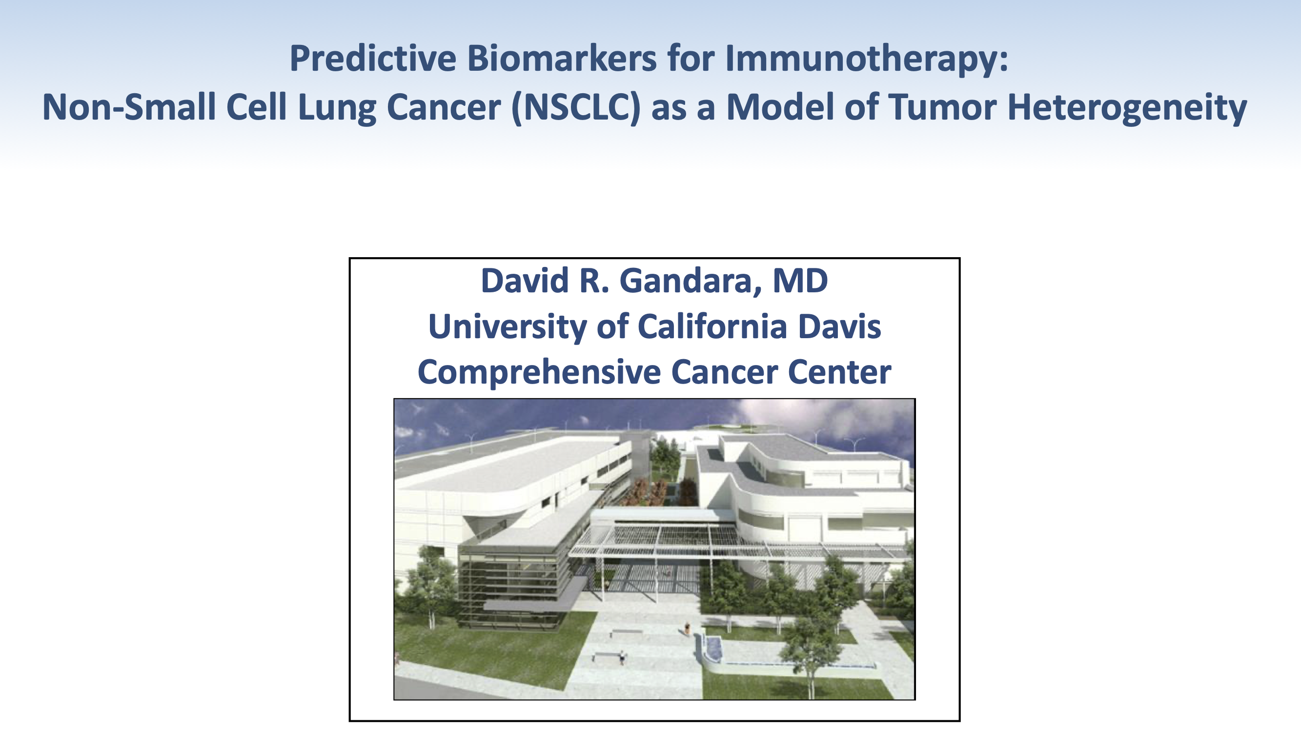 Predictive Biomarkers for Immunotherapy - Non-Small Cell Lung Cancer (NSCLC) as a Model of Tumor Heterogeneity